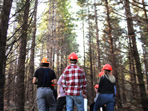 What does the future of Forestry look like? - Southwestern Oregon 