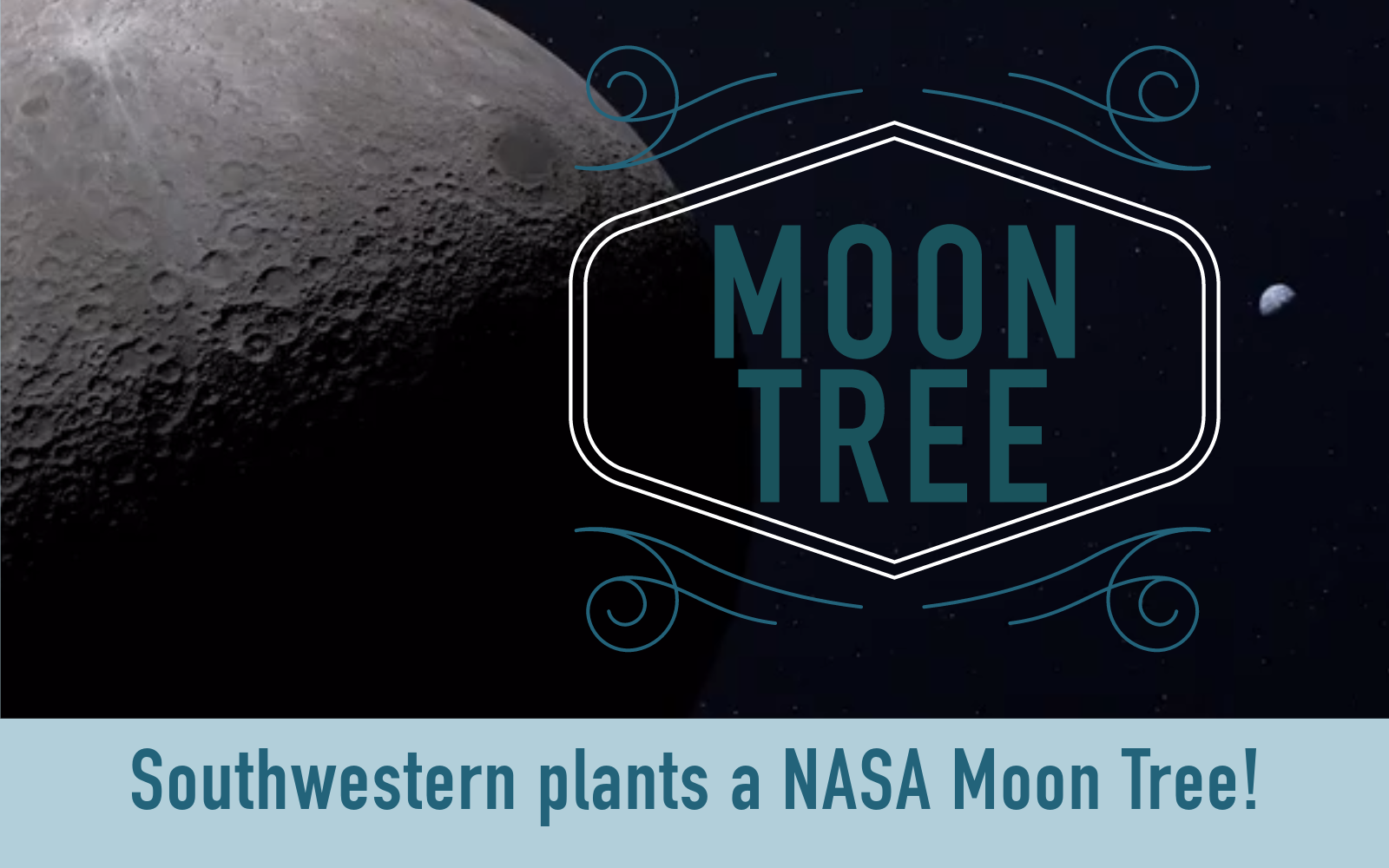 Southwestern to plant NASA Moon Tree on Coos Campus - April 3, 2024 ...