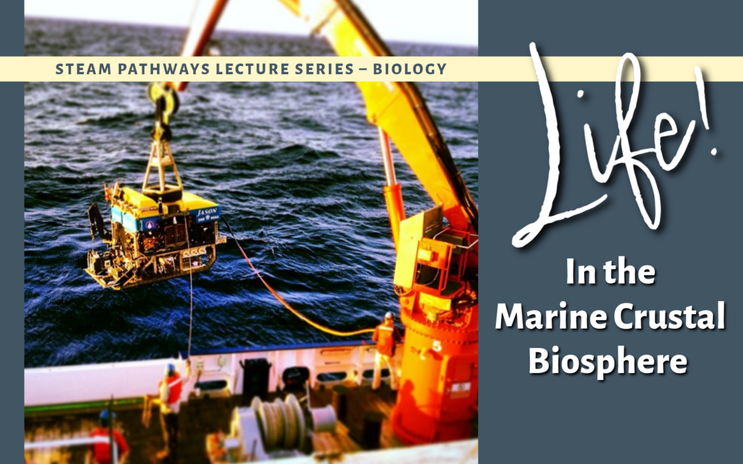 Life in the Marine Crustal Biosphere – US Science Support Program Ocean Discovery Lecture – Nov. 12, 2024